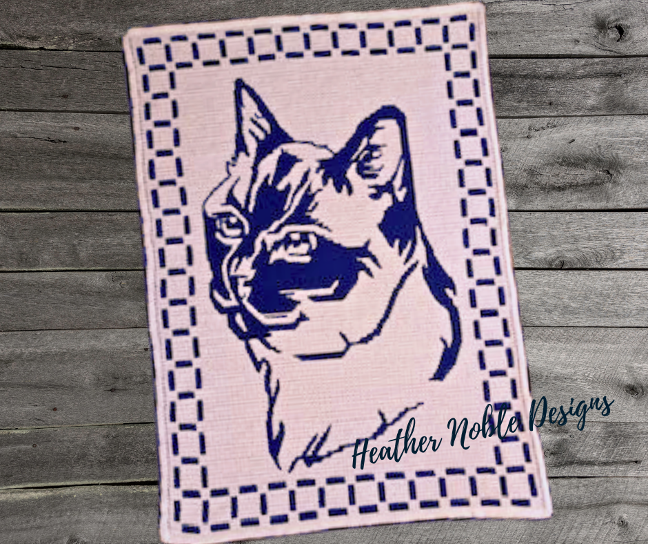 Fierce Feline Blanket