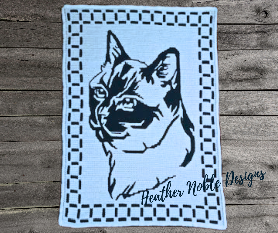 Fierce Feline Blanket
