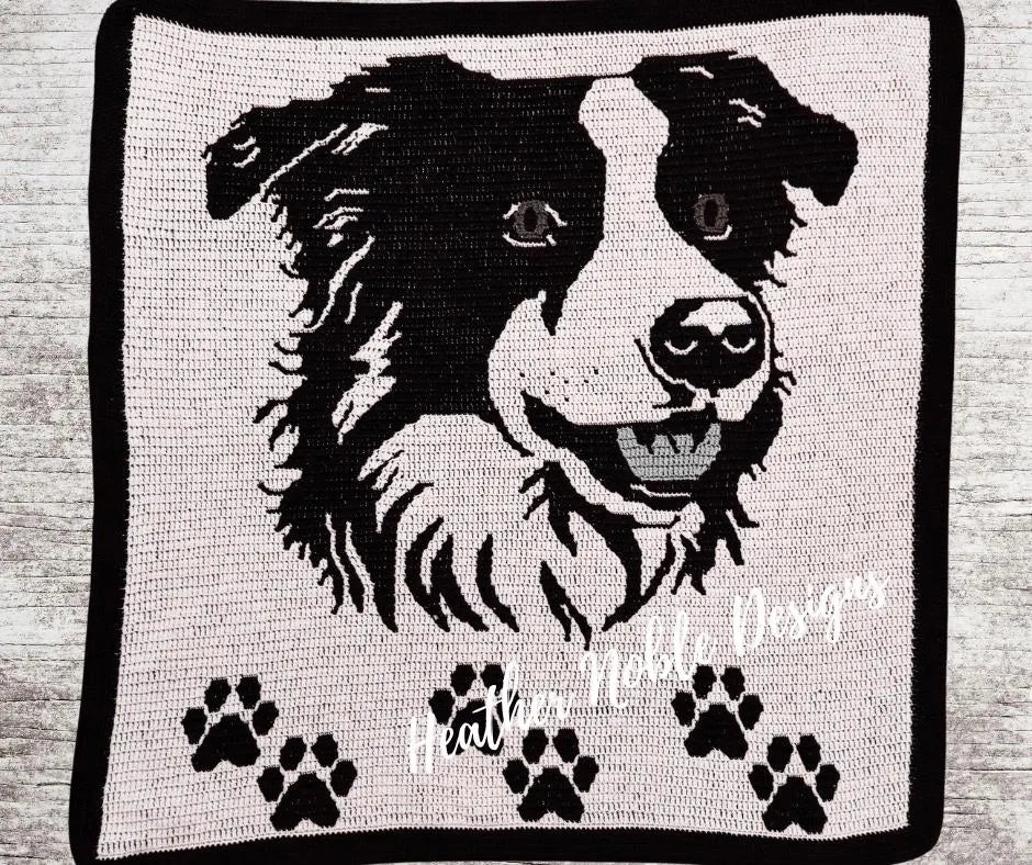 Border Collie Blanket
