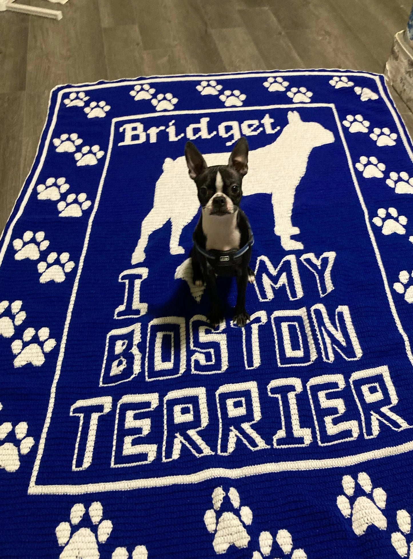 Boston Terrier Blanket-Retro Pattern