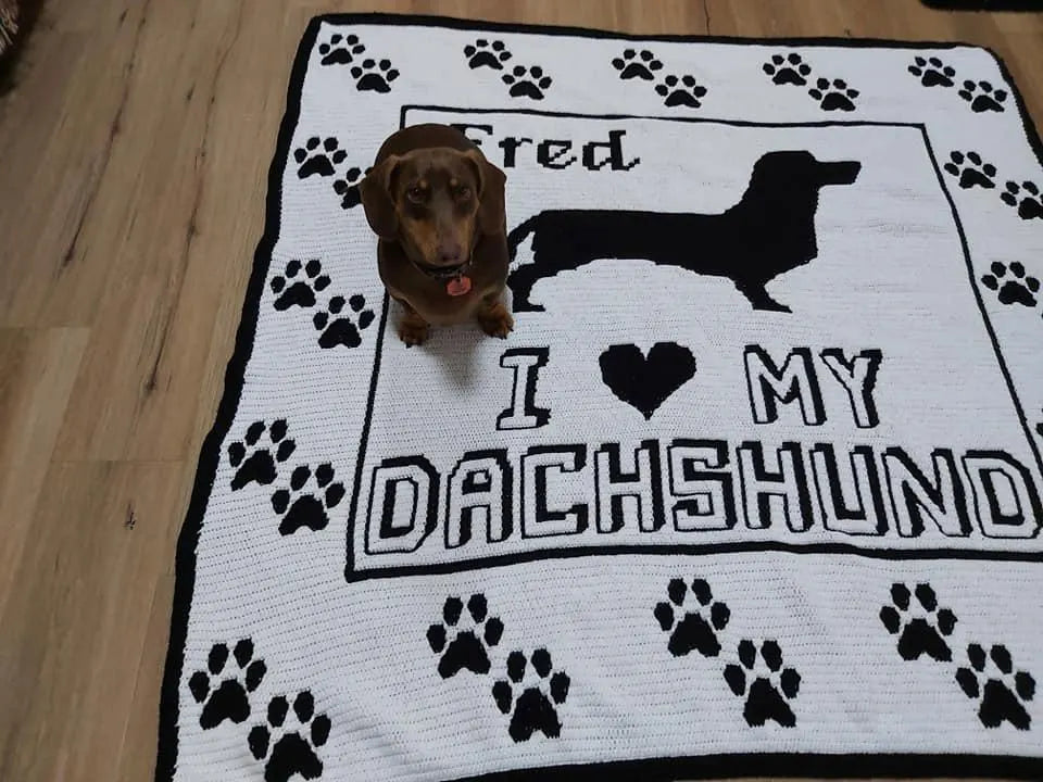 Dachshund Blanket-Retro Pattern