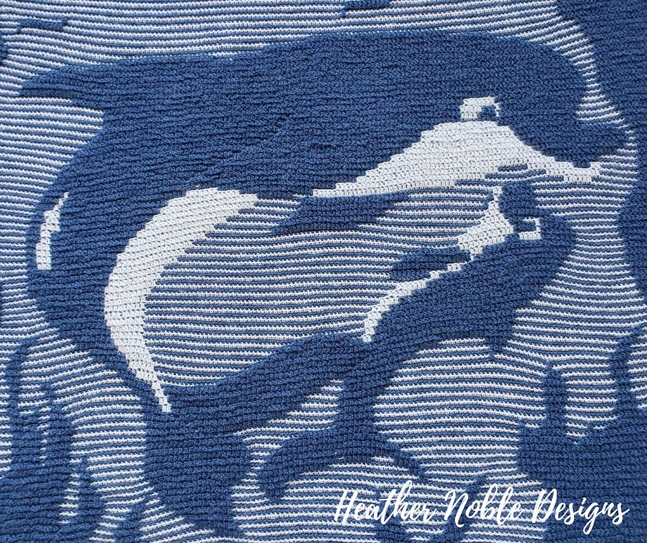 Dolphin Blanket 1
