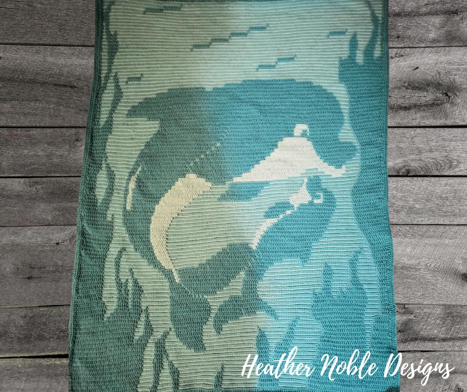 Dolphin Blanket 1