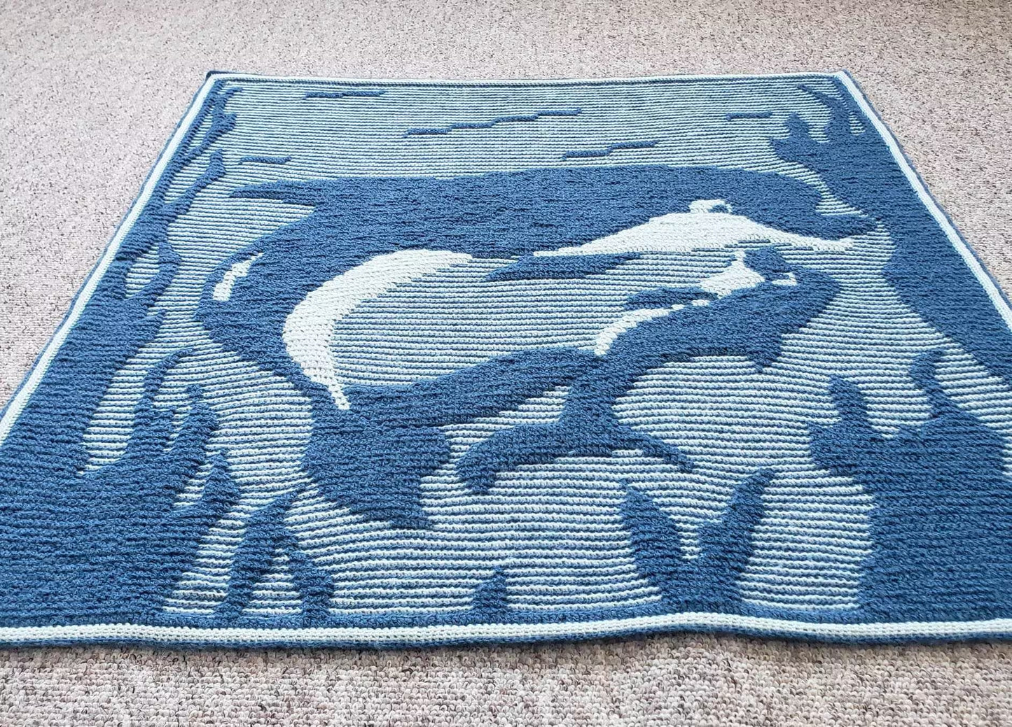 Dolphin Blanket 1