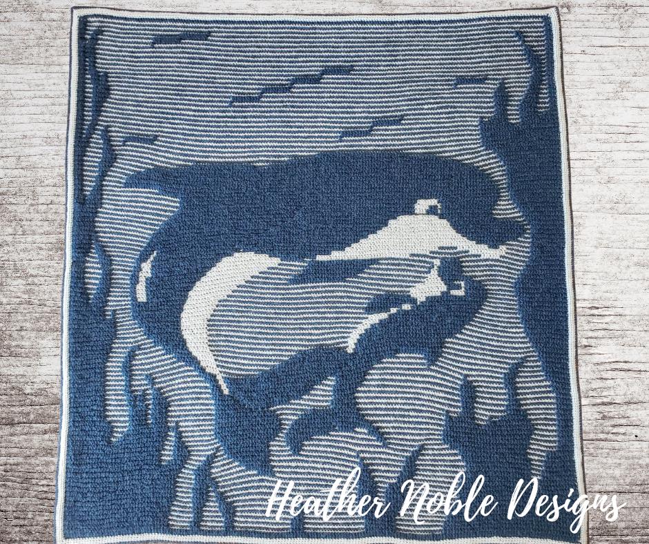Dolphin Blanket 1