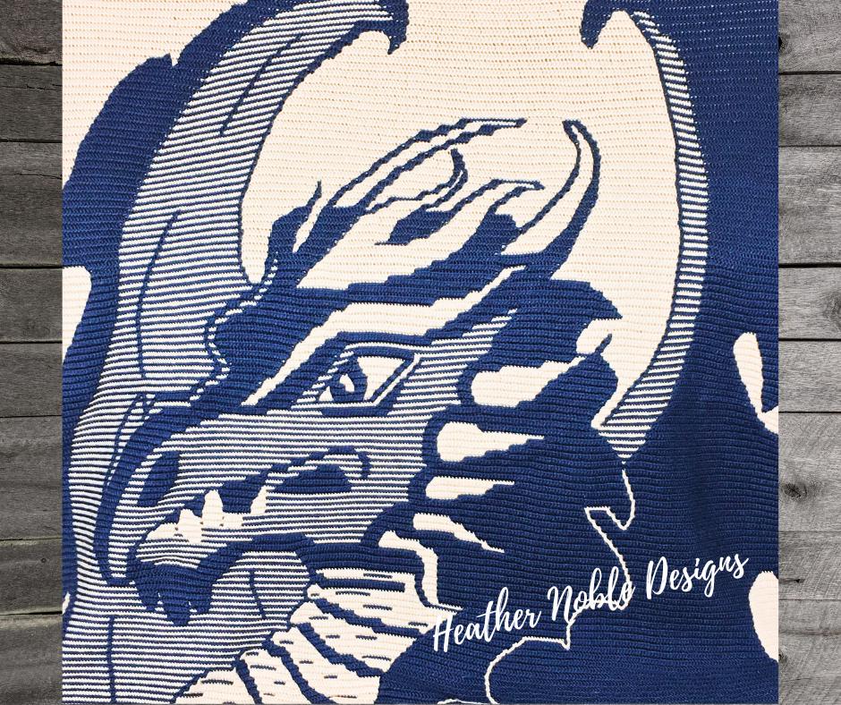 Dragon Blanket
