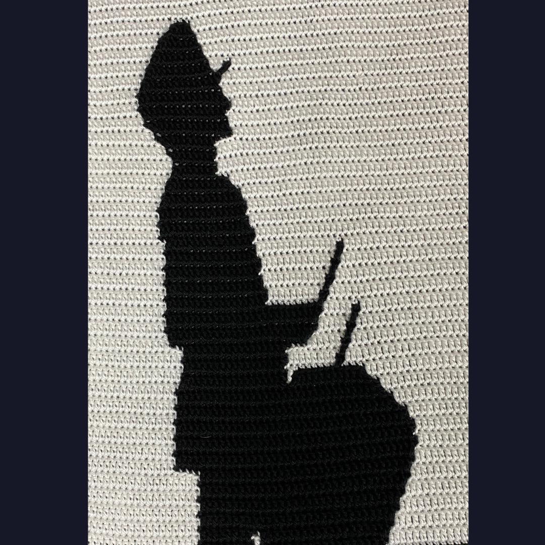 Marching Band Blanket