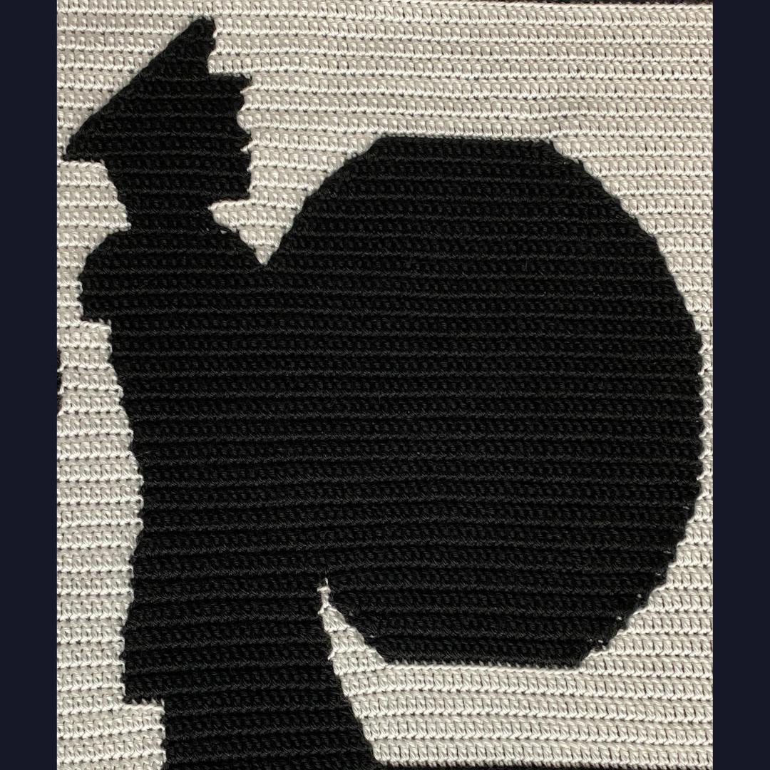 Marching Band Blanket