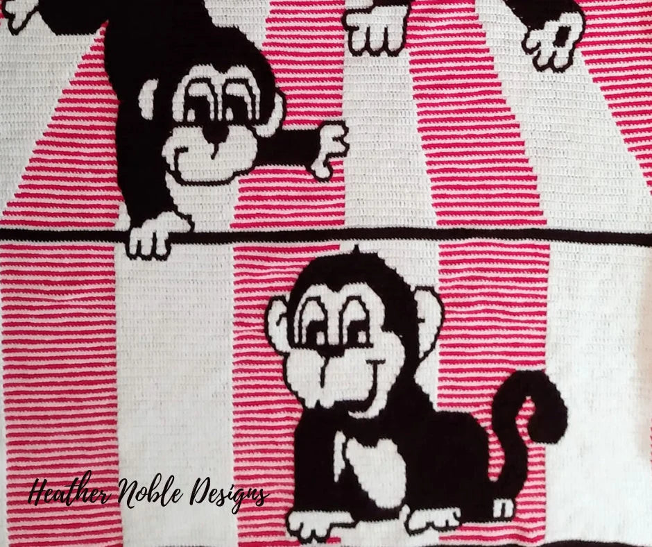Monkey Blanket