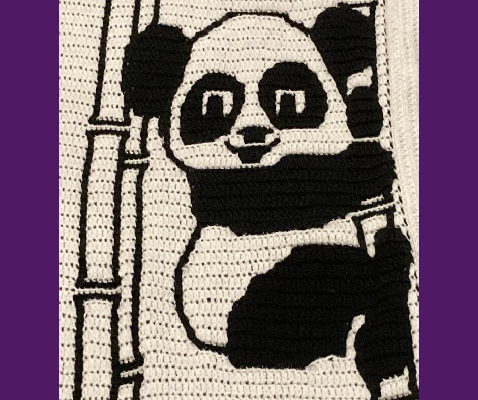 Panda Blanket 2