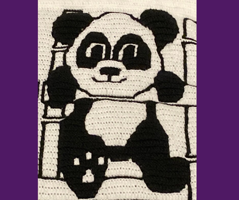 Panda Blanket 2