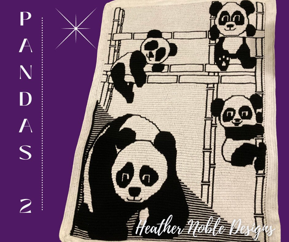 Panda Blanket 2