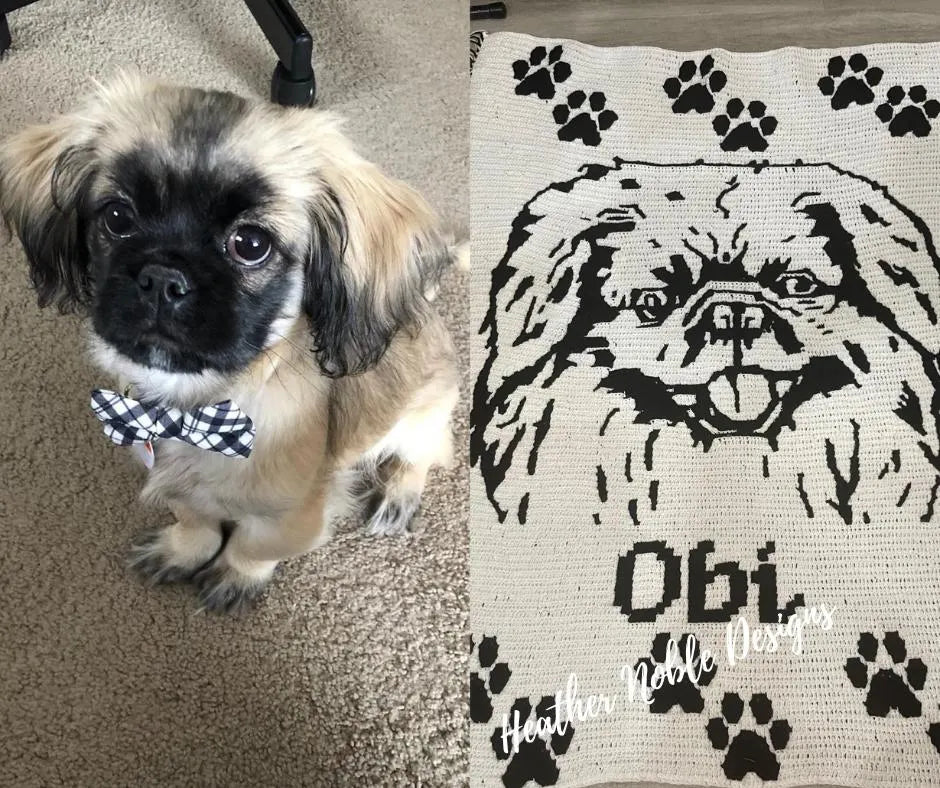 Pekingese Blanket