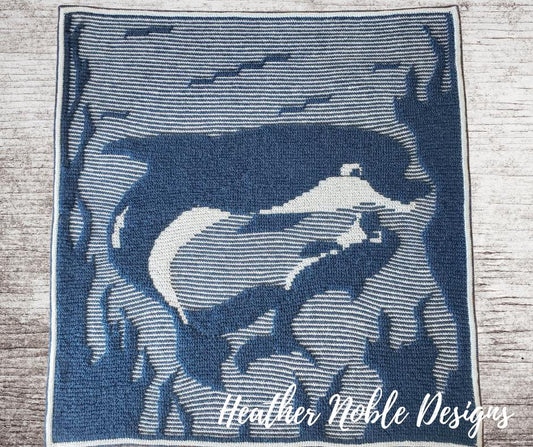 Dolphin Blanket 1