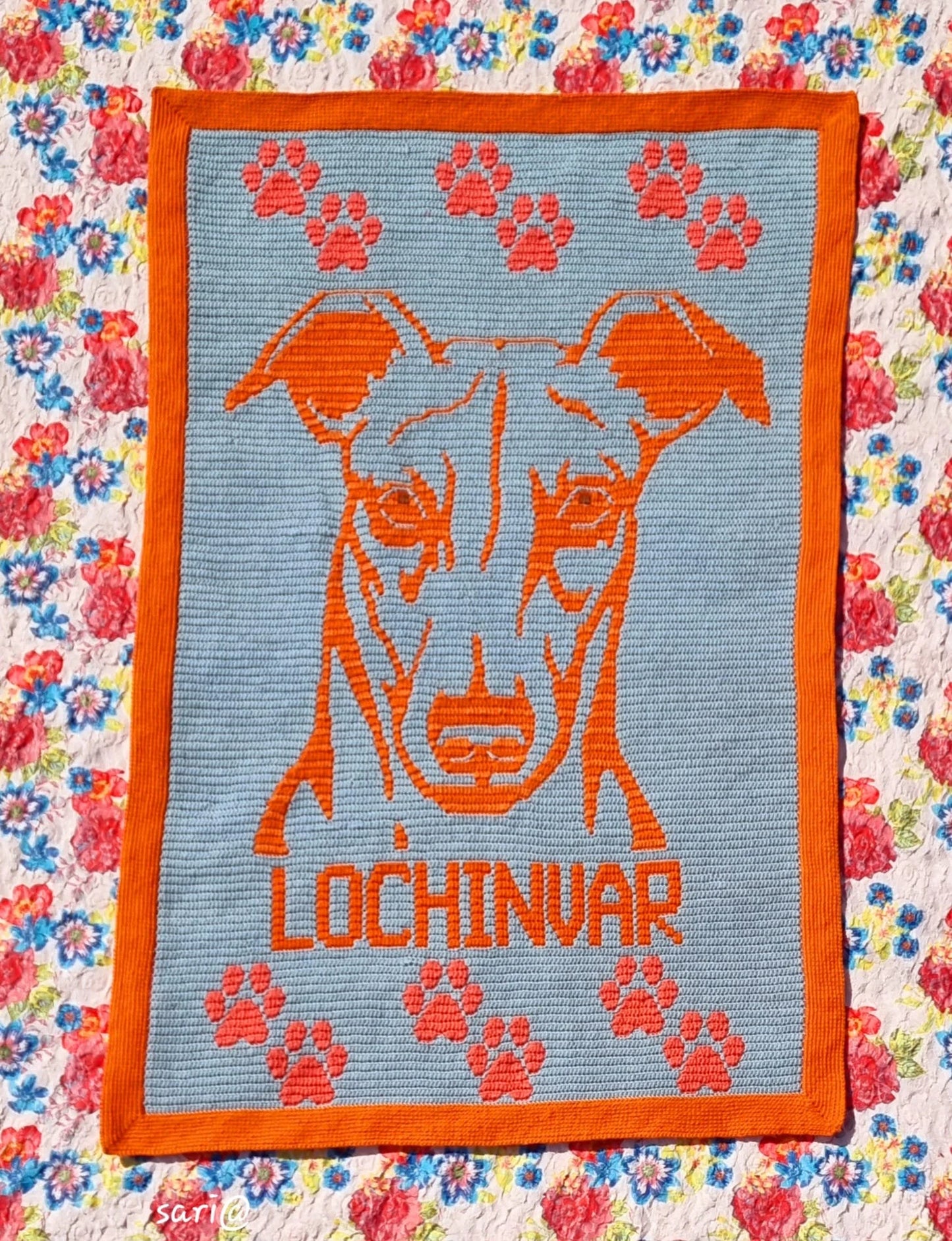 Greyhound Blanket